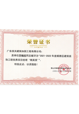 优秀项目经理“精英奖”